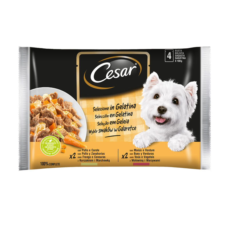 Cesar Cibo umido in gelatina per cani con manzo e verdure, 100 g
